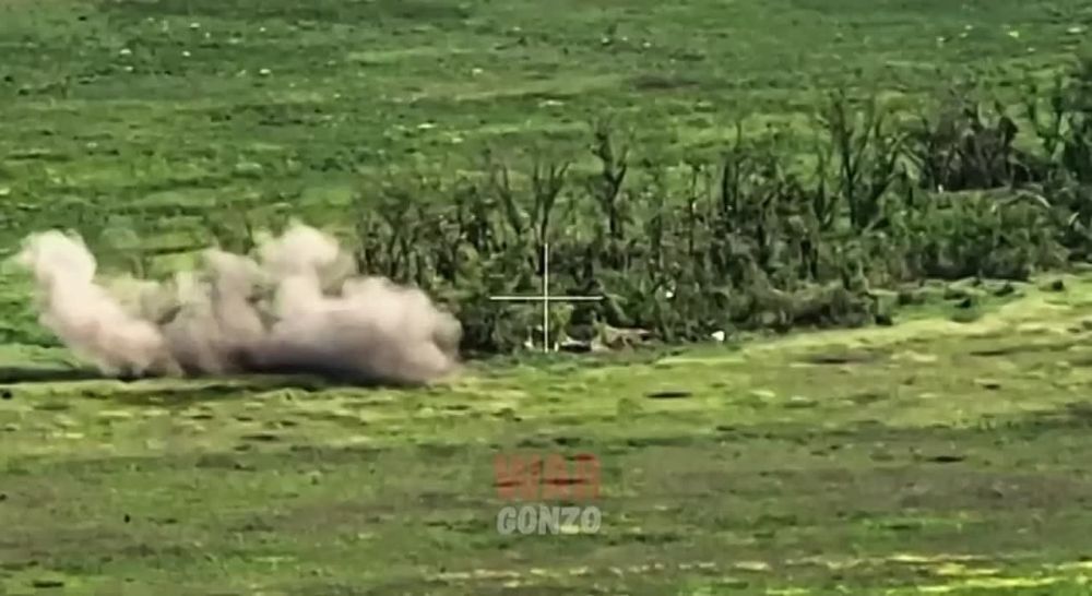 WarGonzo: ����������-��������� ������� �� ���