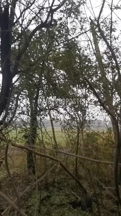 ��������� ��������� ������� ������� ��� ����� ������ ������