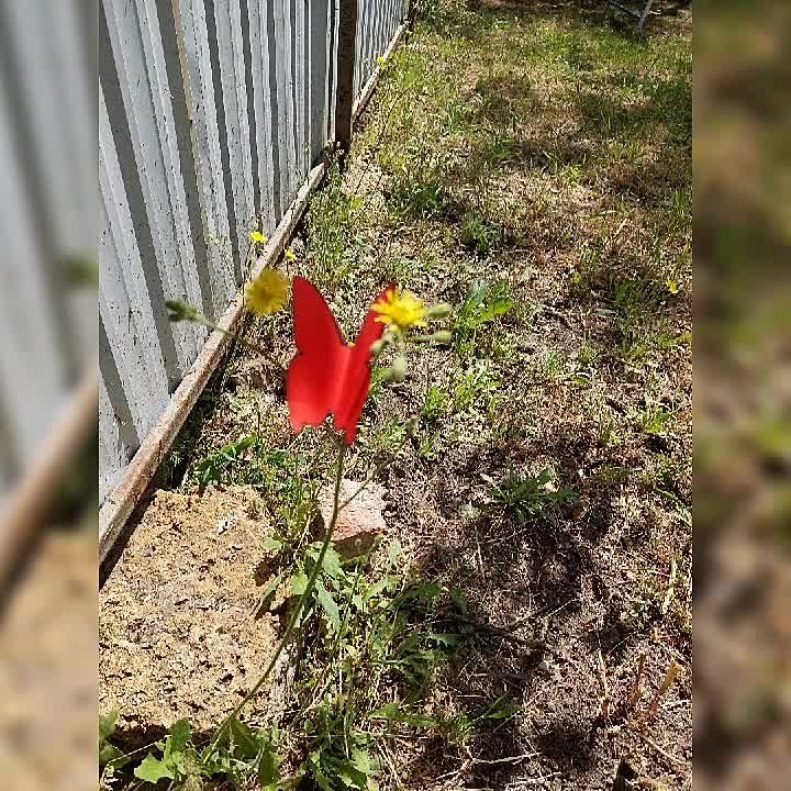 ��� ������� � ����� �������!"