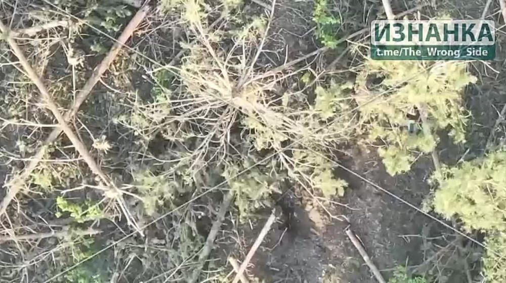 ���������� ������ ����� ������������� �� ��� � �.�. ��������� ����������� �������
