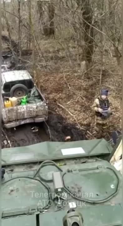 ����������� � ���������: