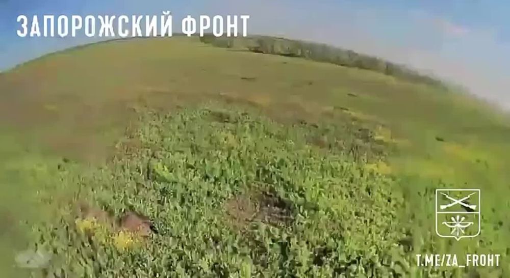 ����� ������ ����� ����������� �� ����������� �����������