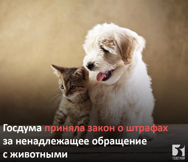 ������� ������� ����� � ������� �� ������������ ��������� � ���������