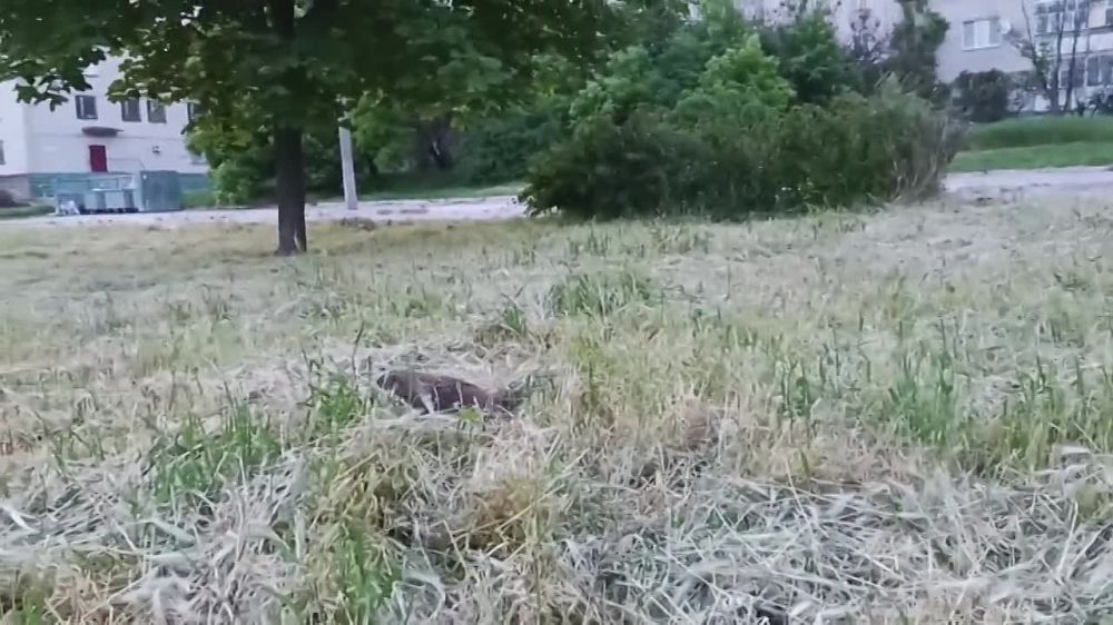 �������� ������������� ��������, ��� �� ����� ���� ����� �����