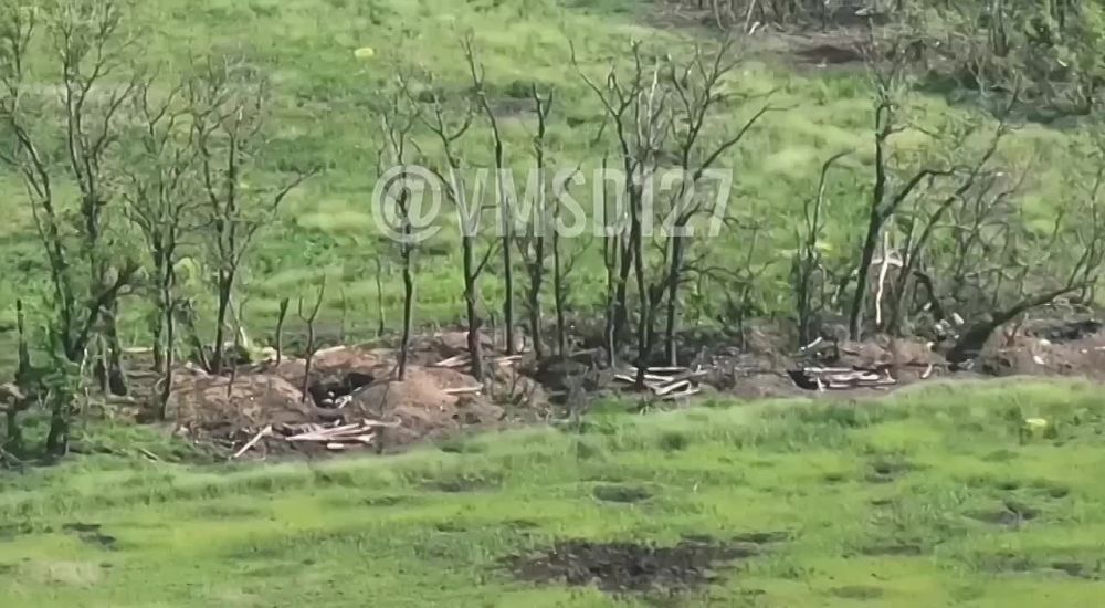 Юрий Котенок: Запорожское направление — поражение украинского опорника в лесополосе