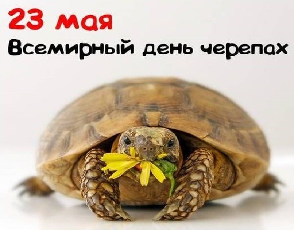 ������� 23 ��� 2023 ����, ������� � ���������� 5 ����������:
