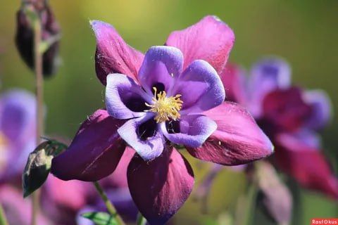 ���� ����, �����!. ����� ����������� ���� ����� ����� ������ ������ ���� , ����� ������ � ������ ����