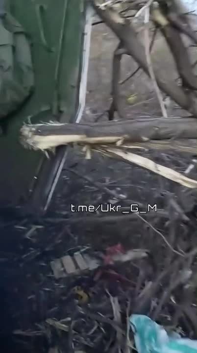 ������������ ������� ������������ ���