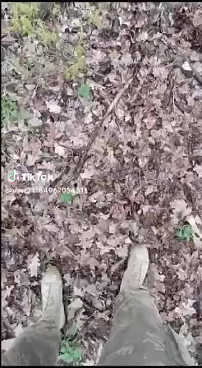�������� ���������� ����� � ������������ ��������-������