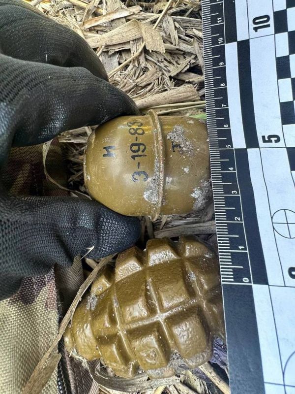 ��������� ������ � ������������ ���������� ����������� � ����������� �������