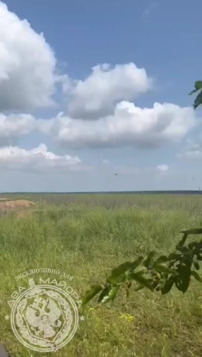 ����������� �����������