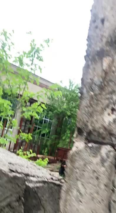������� ������ �������� � ����� ������ � �������� ���� ��������� � ����������� �������: �� ����� ������������ ����������� ������ ����� ����