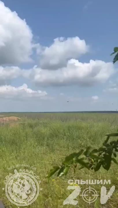 ����������� �����������