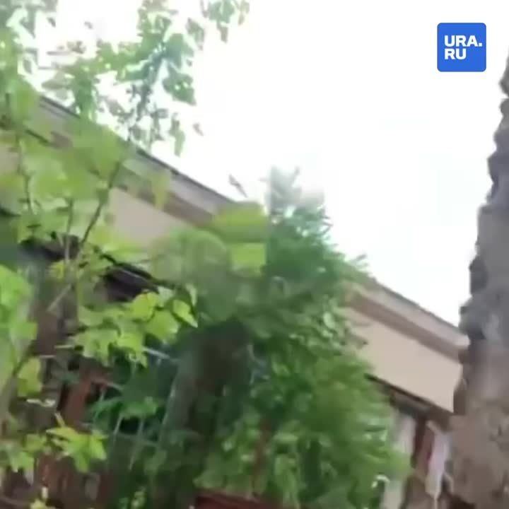 ���������� ��������-������ ���� ���� ������ � ��������� ���������� � ������������ ��������