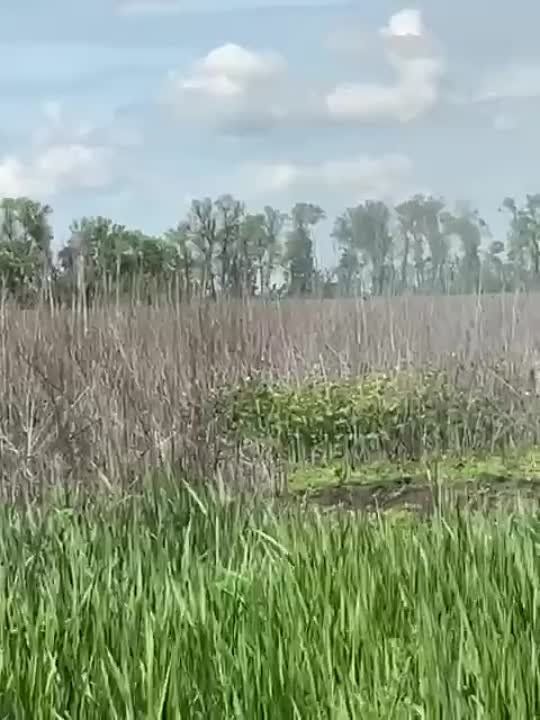 ��������� ����� ������������ ������