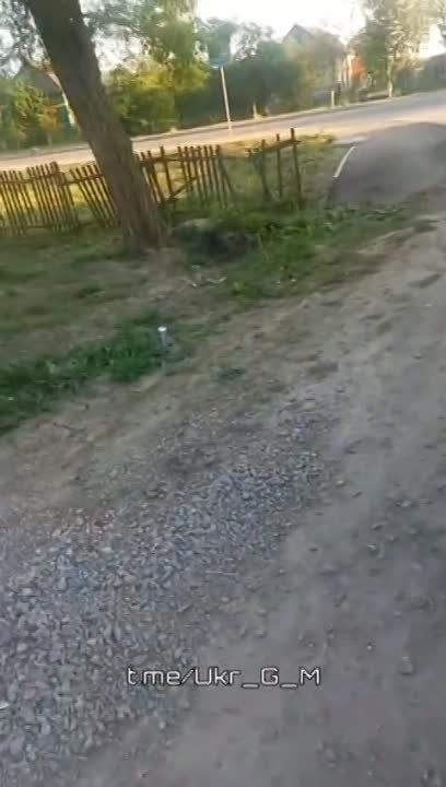 "����������� �� ������� �������� ���������" (�) �������