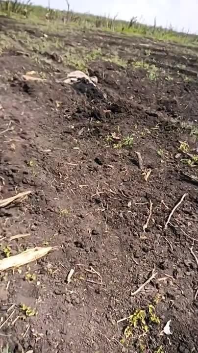 ������������ PbV-501 (���-1) ��� ���-�� �� ������