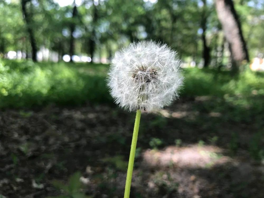 � ���������� ����� �������� ����