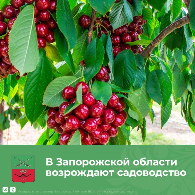 ����� ��������������� �������� �������� �� ���������� �����