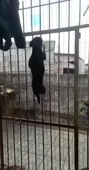 ������� ������ "�������� ZaVtra", ���� �������� �������� ����, ����� ����� �� �������