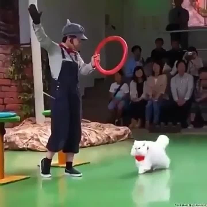 ����� ���: �������� ������� ���, ������� ��������� ����� ������� ����� �������