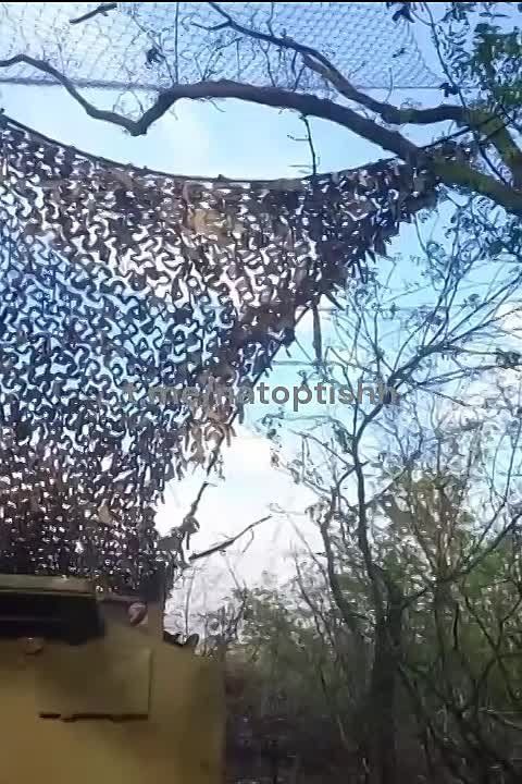������������ ������-��������� "������" ���������� ��� "�������-�" ���