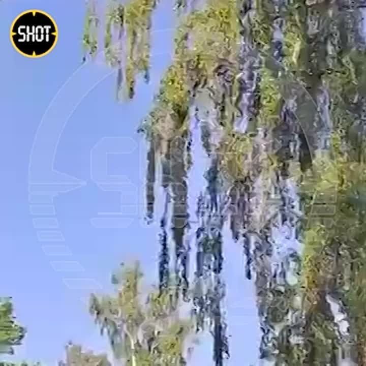 ���� ���� � ���� ��� ���������