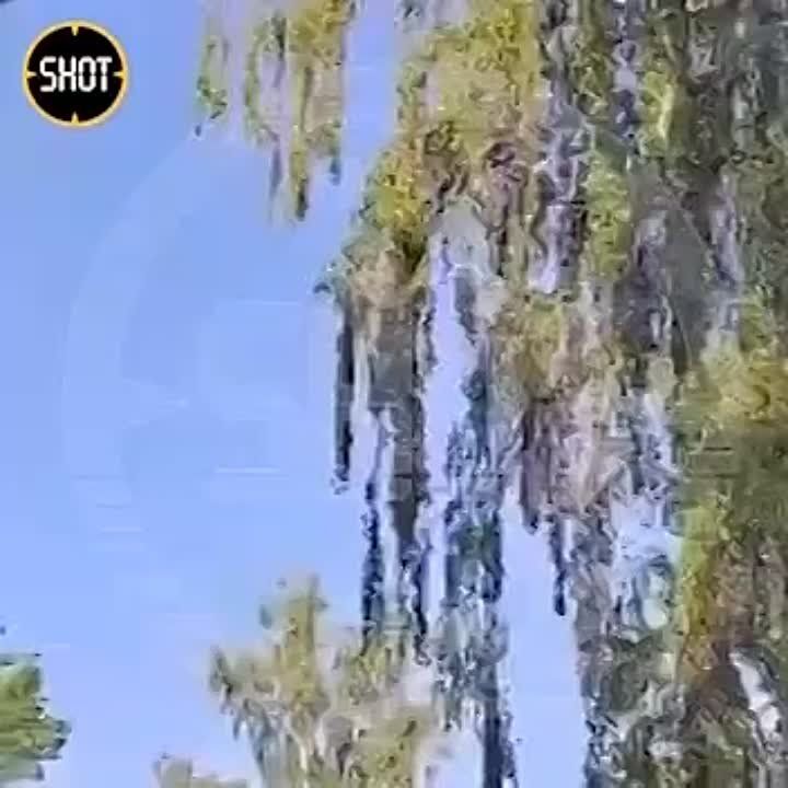 �������� �����: ������ ����� ���� � ���� ��� ��������
