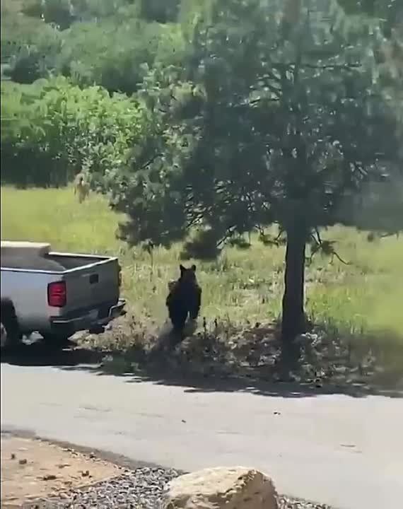 ������� ����� ��� ����� �������� ���: ������� ����� �������� ��������� ���������