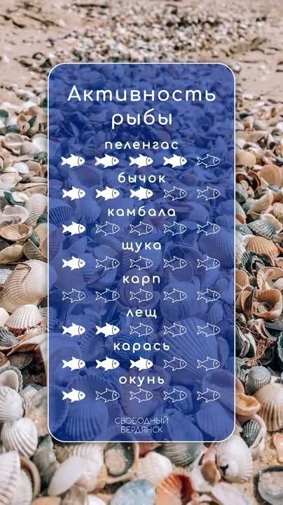 ������ �����, ������� ����������!