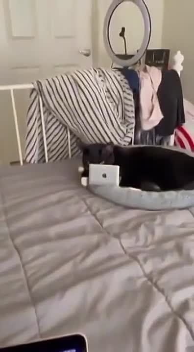 �������! ���� ��� �� ���� �������� � ����� ����� � ��� ������� � ������ ��� ���� �����������