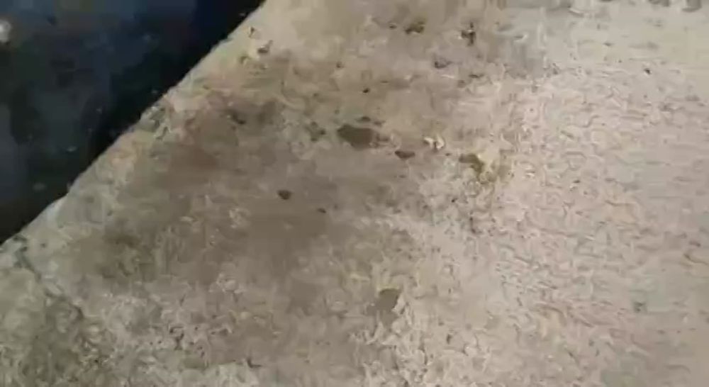 �������� �����: ��� �������� ��������� ���� ������������