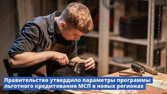Правительство утвердило условия льготного кредитования малого бизнеса в новых регионах