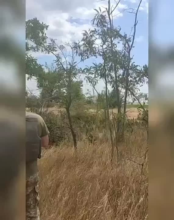 �� ���������� ���������� ����������, �� ���� ����� ������������� �������� ����� ����������� ����� "�����-�" ��� �� ���������� ����������� �������