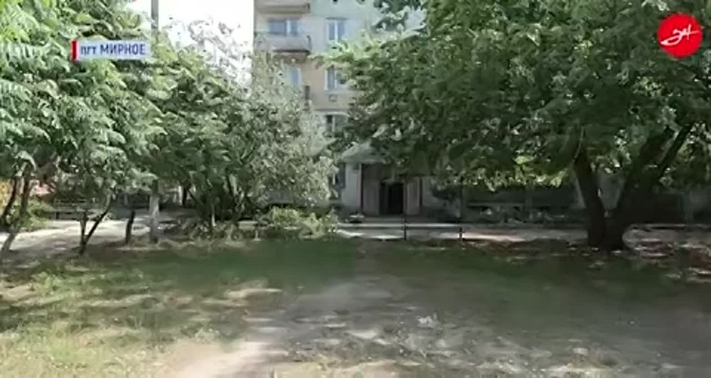 � ����������� ������� ������������ 14 ������������ ���������� � ������ ������������ ������� ������������� ���������� ��������� ������