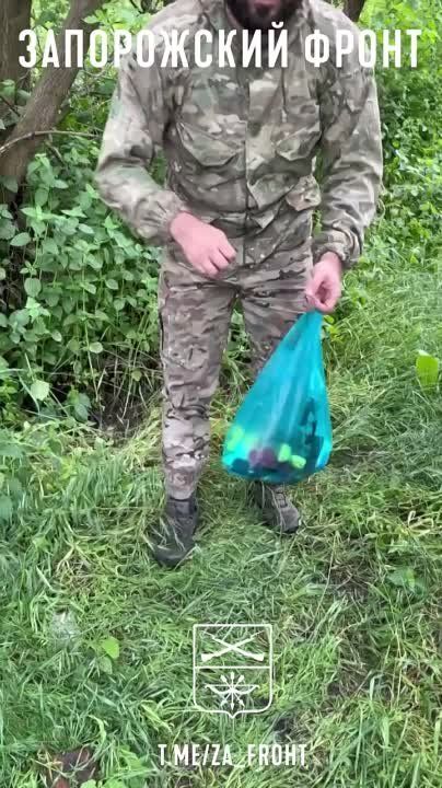�������������� � ������������ ����������� �������� ������������� ������ ��������� ������ � ����������� �� ��������� ���������, �� ����������� ������������ ������