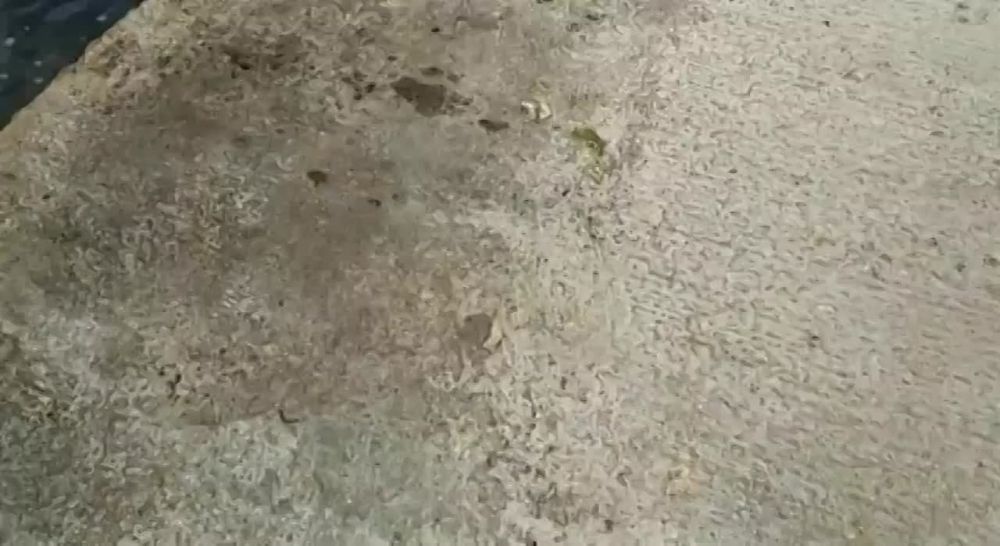 �������� ���������������� ����� ����� 12:00 ����� ���� �� ������� ���������
