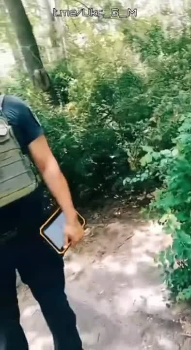 "����������� �� ������� �������� ���������" (�) �������