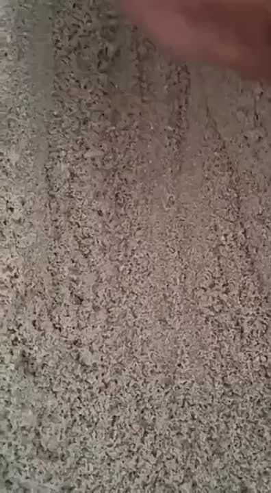 � ������ � ������ ������� �������������: ������ ���� ������ �������, ����� �� ���������� � �����