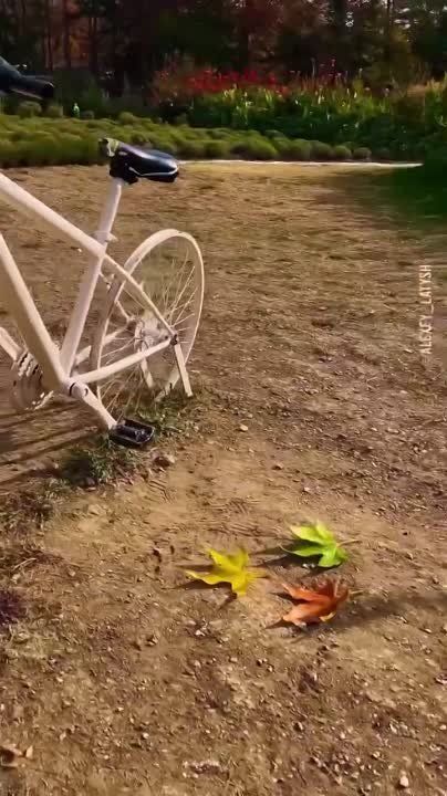 ������ ����������� ����������