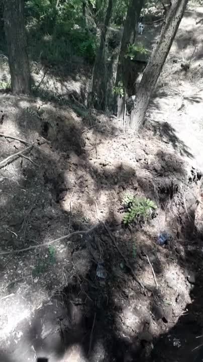 ������� �������: ���� ������ ��� fpv ������ ��� �� ������� ������ �� ����� ������� �� ����������� ������