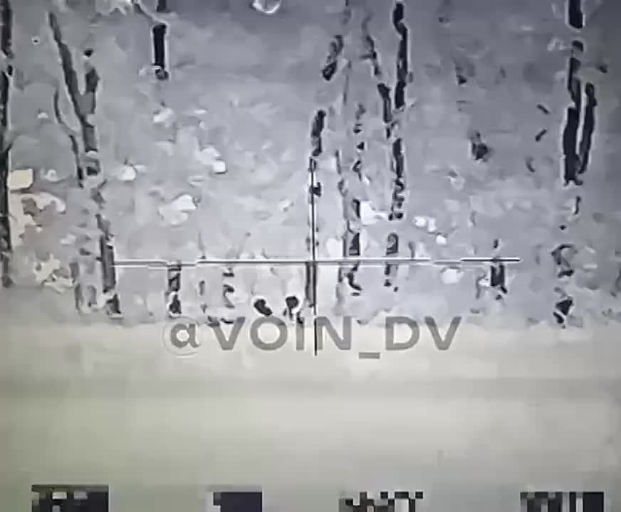 ������������� ���� ��������� � ����������� ������� ���������� �������� ������� �����