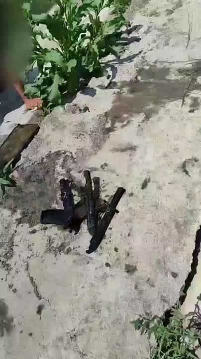 ������� ������������������� ����������� ������ �������� �������� �� ���� �������������� �������, ������� � ������� �������...