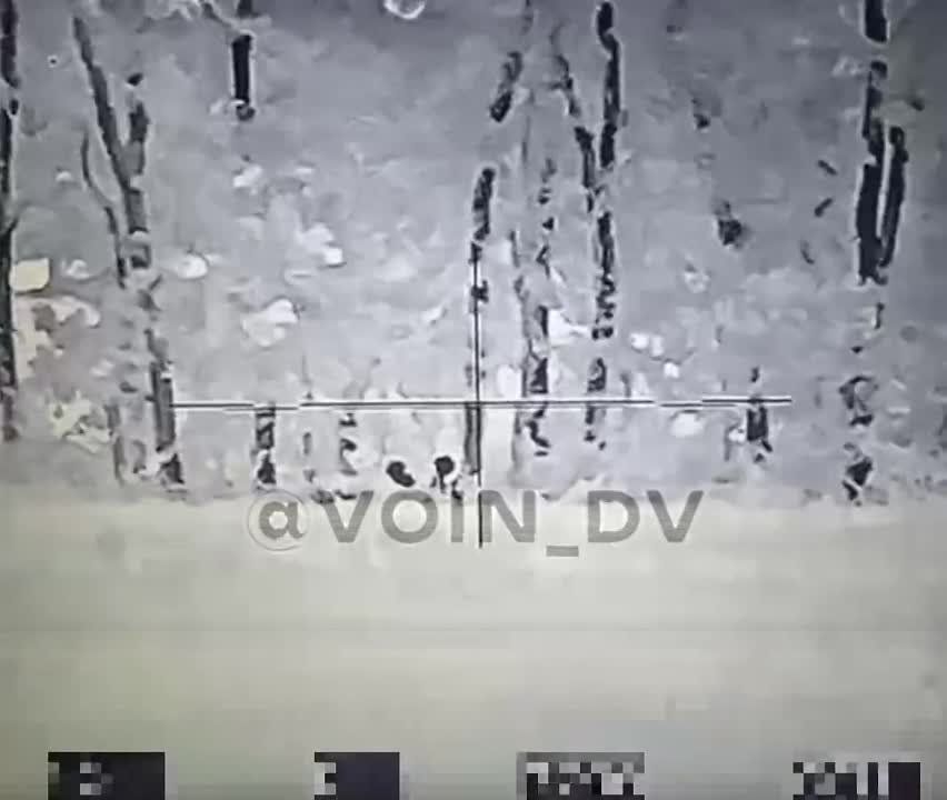 �������� 5 ����� ���������� ������ ��������� ������ ��� �� ����������� �����������