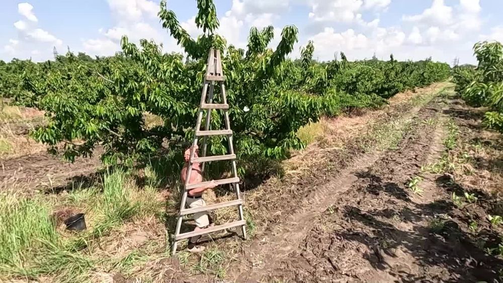 ����� ������ �������������� ������� ������� � ����������� �������, �� ����� ������ ����� ������ ��������� � �������� ����� ������ � ����������