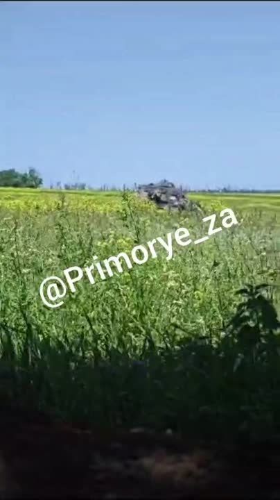 ����� �� ��������: �����, ��� �� ��� � ������������ ���, ������� ���������� �� ����� ������� ����������� ���������� �� ��������� ������� (����������� �������)