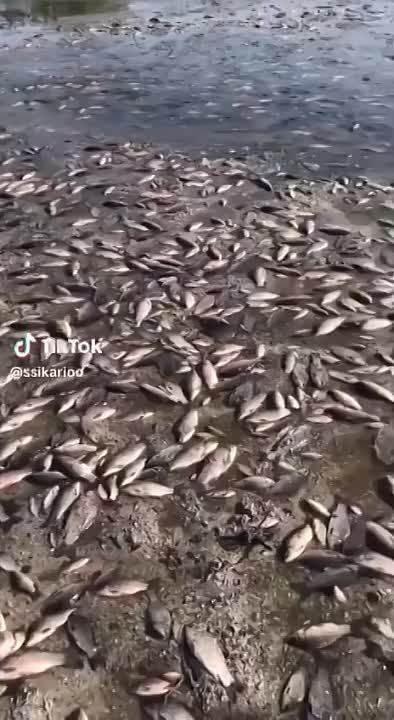 ������������� ����������, ��������� �������� ����� ��������� ���, ������ �������� �������