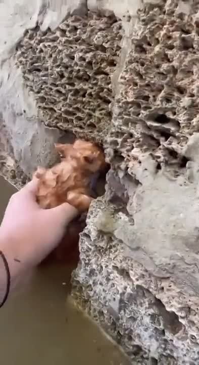 �����, ������� �� ����� �����