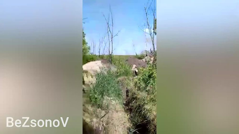 ������ ��������: #���������. �������� �����. �������, ���� ������� ������� ������� �������-�������� ����� �� ����������� ����� ��� �� ����������� �����������