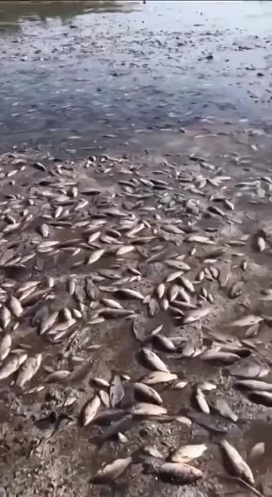 ������ ������: ������������� ���������� � ���������������� �������